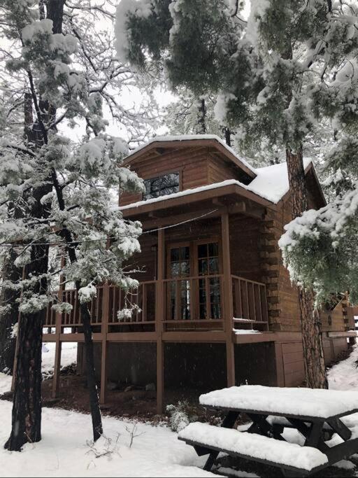 Forest Cabin 2 Birds Nest Payson Extérieur photo